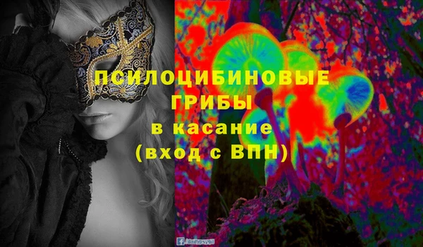бошки Алексин