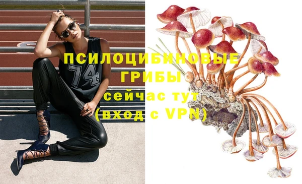 бошки Алексин